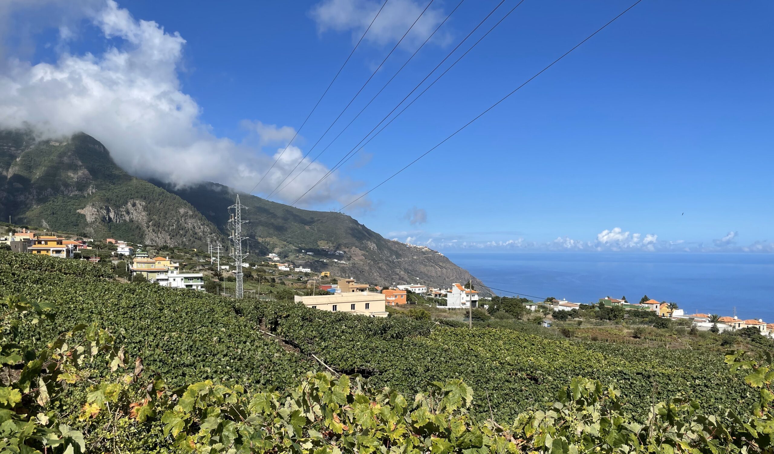 Atlante | Canary Islands | Spain | Rosenthal Wine Merchant