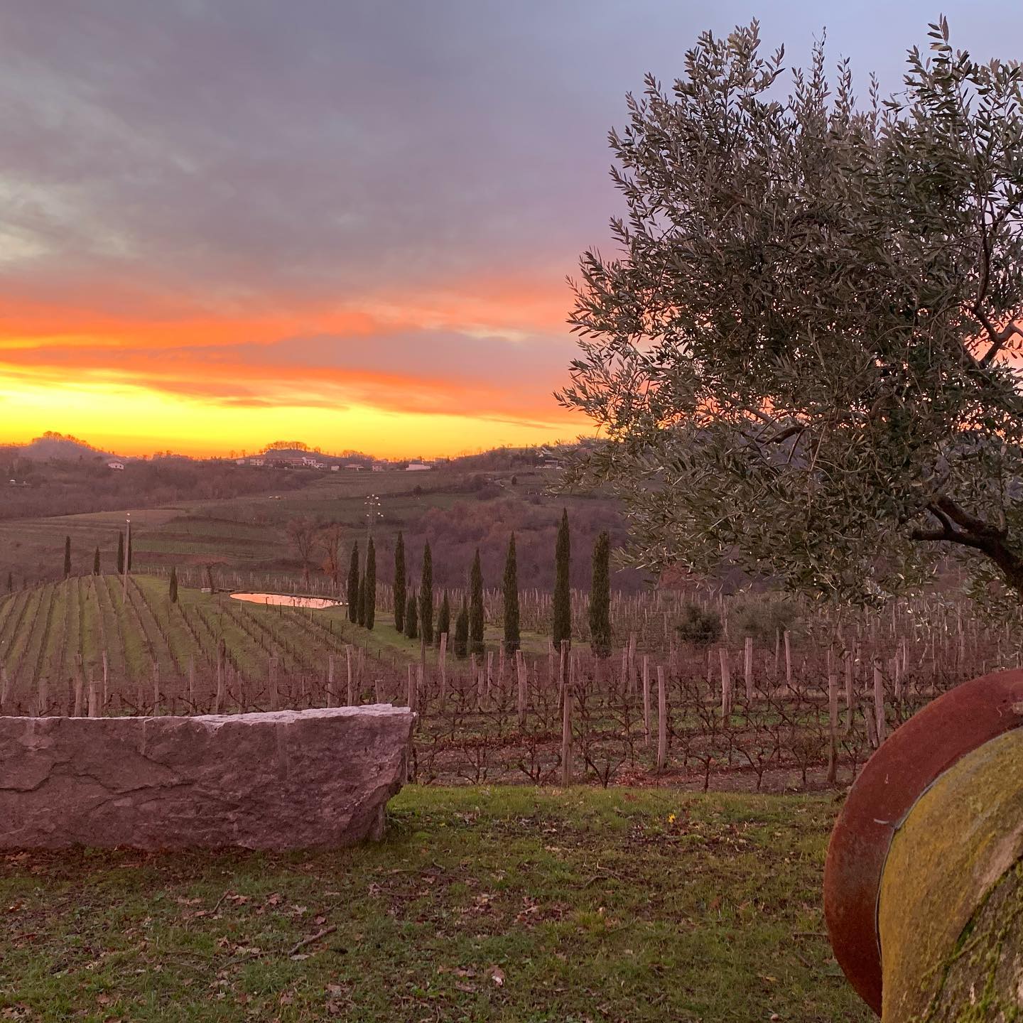 Gravner | Friuli-Venezia Giulia | Italy | Rosenthal Wine Merchant