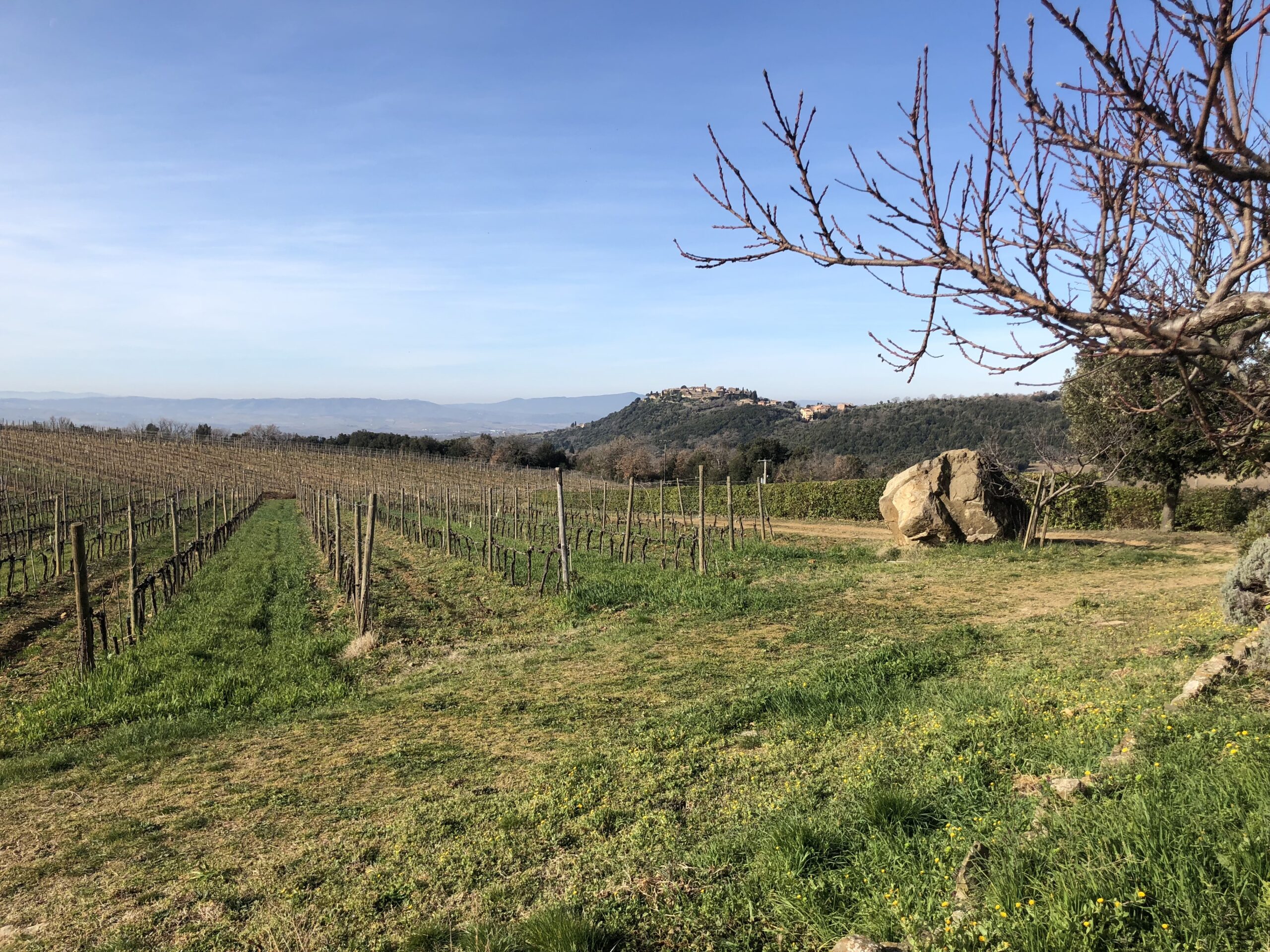 La Torre | Tuscany | Italy | Rosenthal Wine Merchant