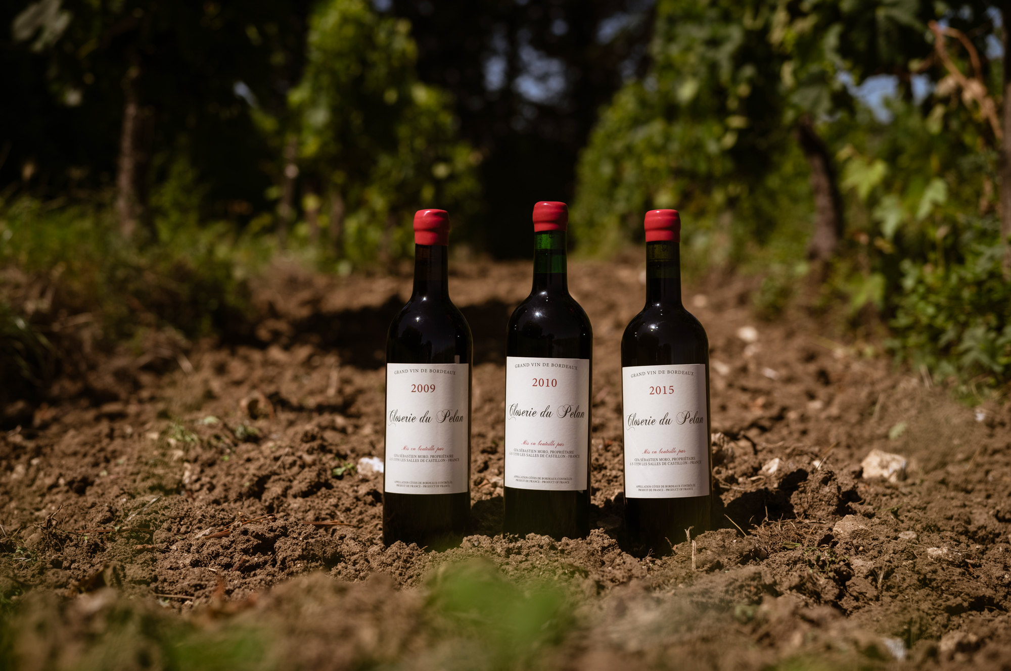 Rouge | Closerie du Pelan | Bordeaux | France | Rosenthal Wine